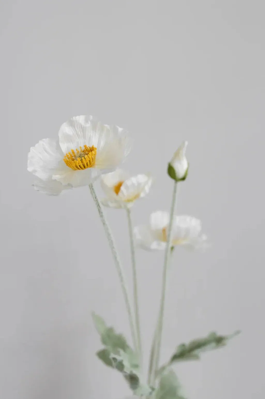 Artificial Cream Poppy 02-132