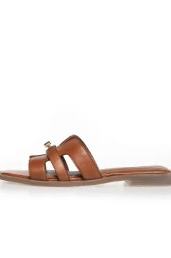 Cswomen'S World CS8463