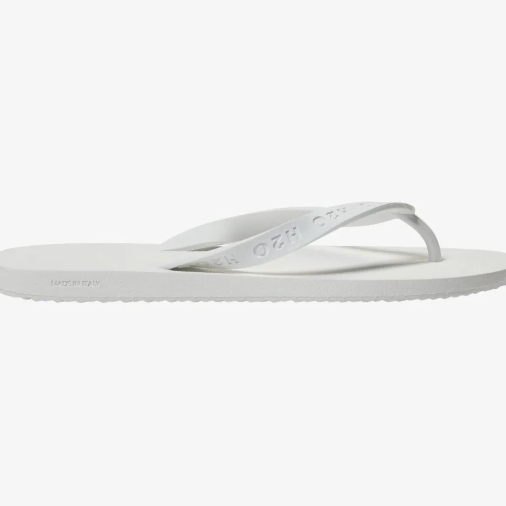 H2flip Flop