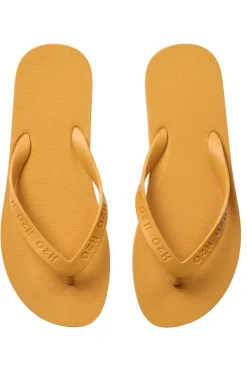 H2flip Flop