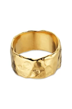 Jkbruised Heart Ring BHR-SS23