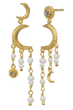 Msastrea Earring 9718a