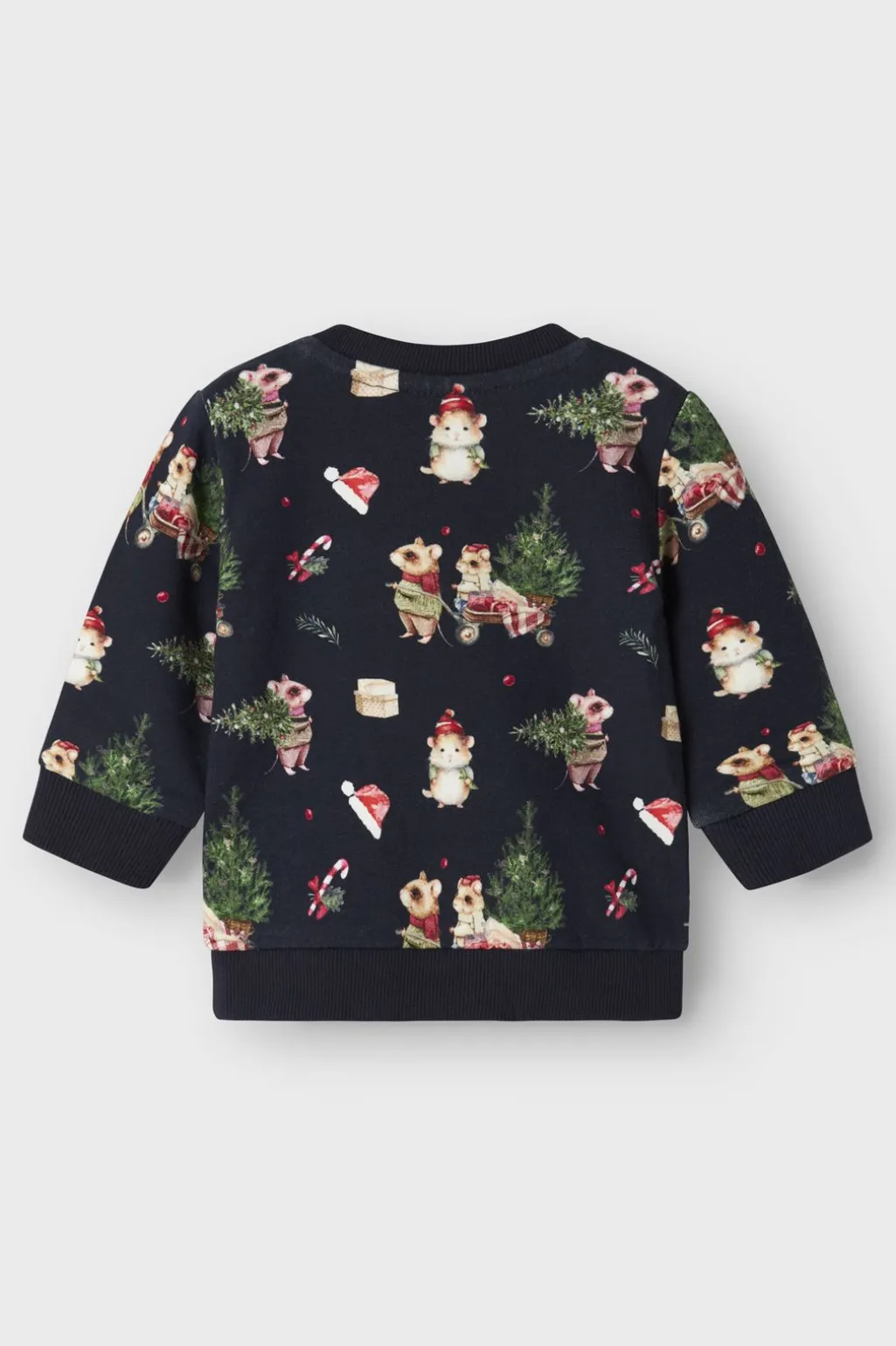 Nbnrenu Ls Sweat