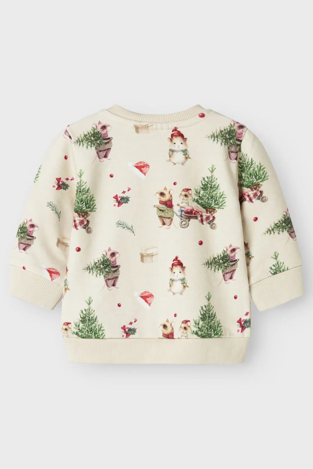 Nbnrenu Ls Sweat