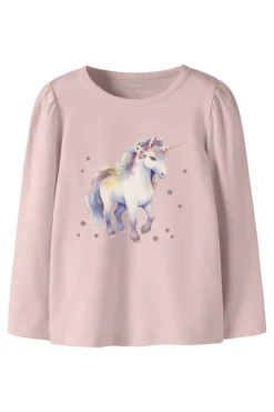 Nmfkimia Ls Top Box