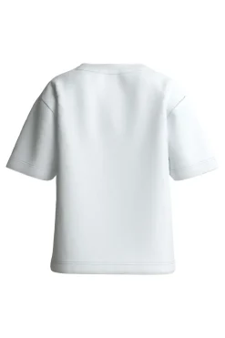 Nmfvotea Ss Nreg Top
