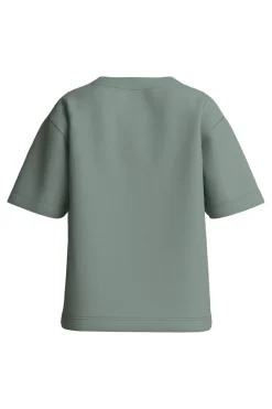 Nmfvotea Ss Nreg Top