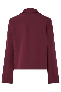 Yasdakota Ls Blazer