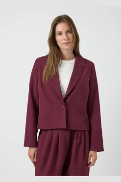 Yasdakota Ls Blazer